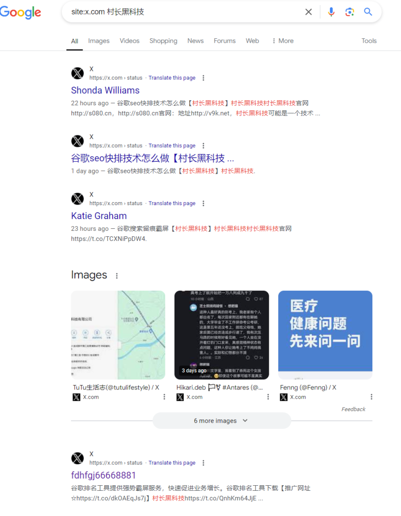 图片[4]_Twitter（X）推特发帖软件工具，推特发帖协议软件Twitter（X）推特发帖软件_村长黑科技官网