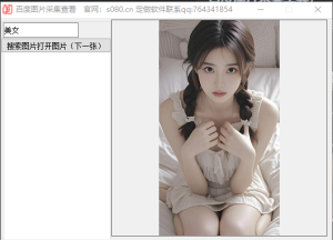 百度图片采集工具，一键采集图片_村长黑科技官网